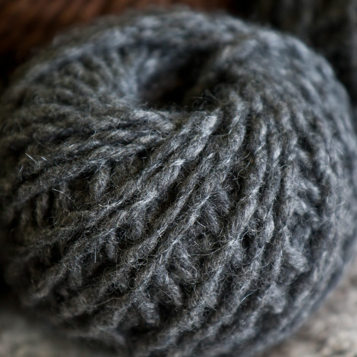Wiki soft - immagine 3