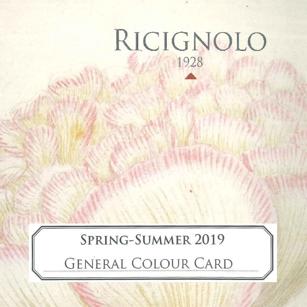 Cartella Colori Generale PE 19