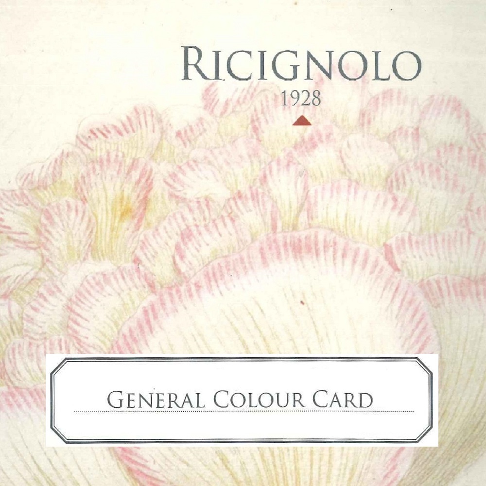Cartella Colori Generale AI 19/20