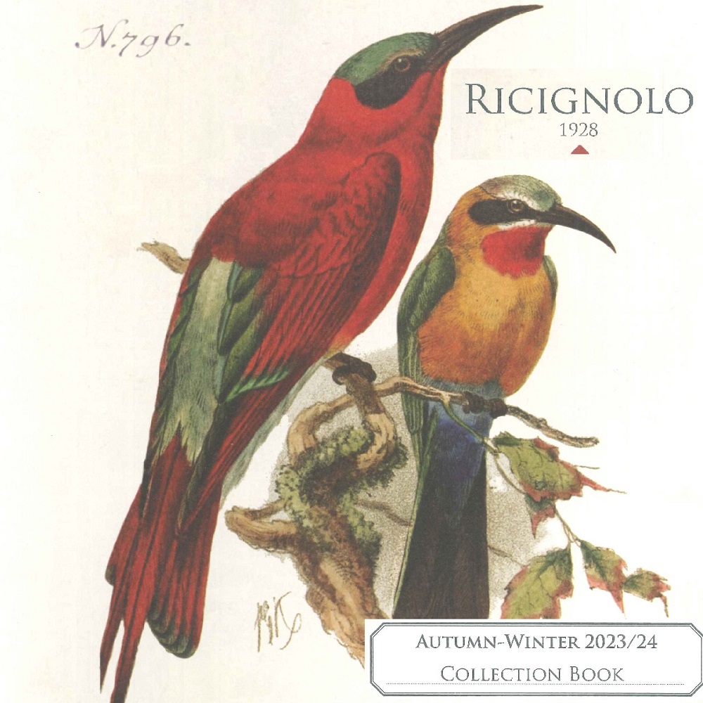 Collection Book AI 24-25