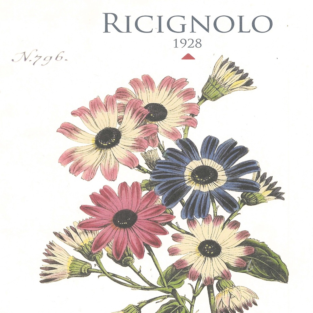 Collection Book SS 27